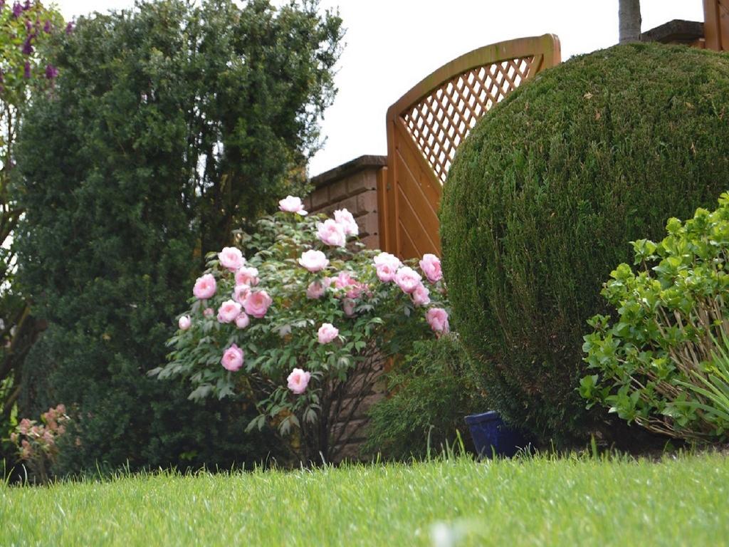 Ferienwohnung Am Park - Vulkanferien Plaidt ห้อง รูปภาพ